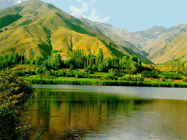 وبلاگ الموت تور راه اندازی شد