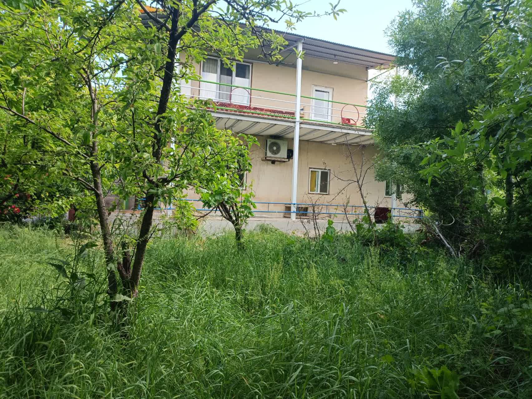 تصویر نسیم الموت
