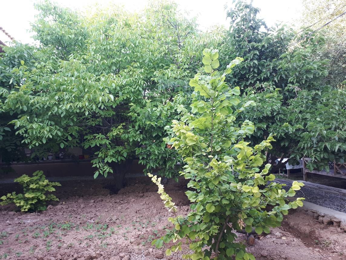 تصویر بومگردی قلعه عقابها 2
