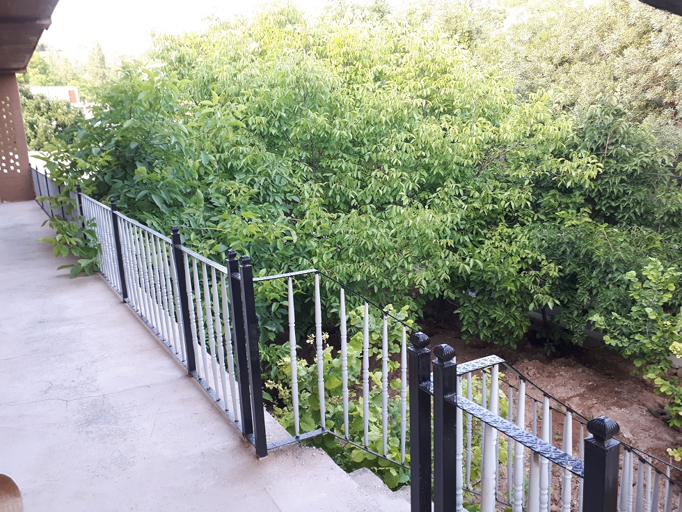 تصویر بومگردی قلعه عقابها 2