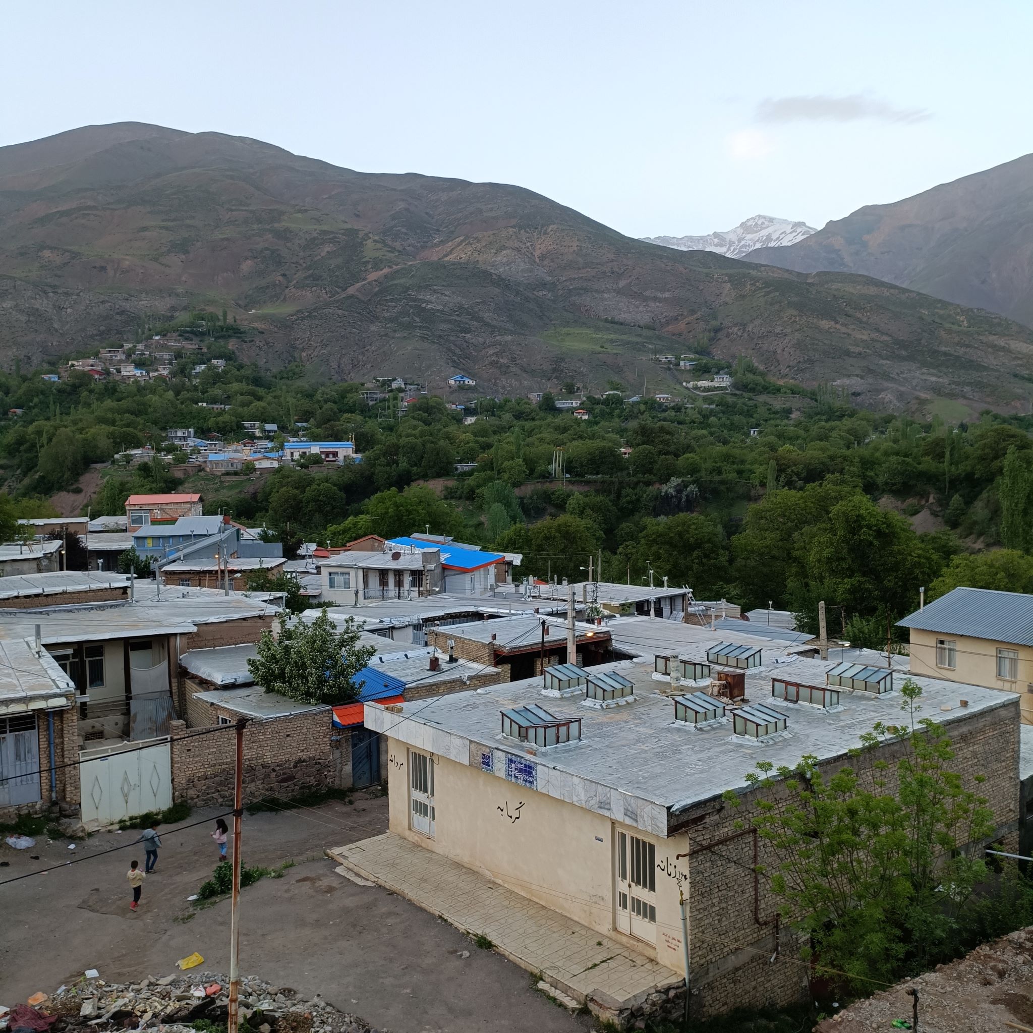 تصویر زرچنار 45 متری