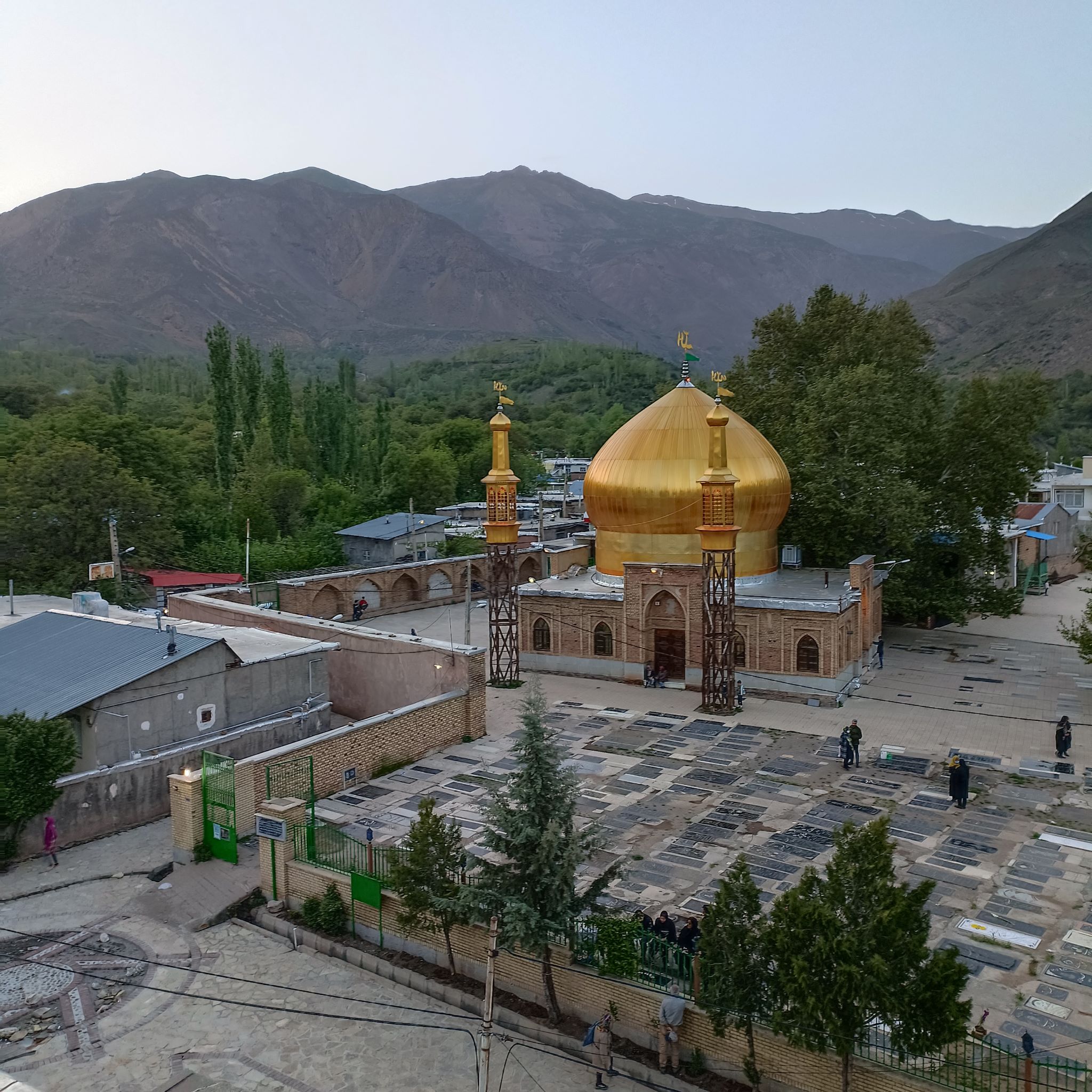 تصویر زرچنار 45 متری