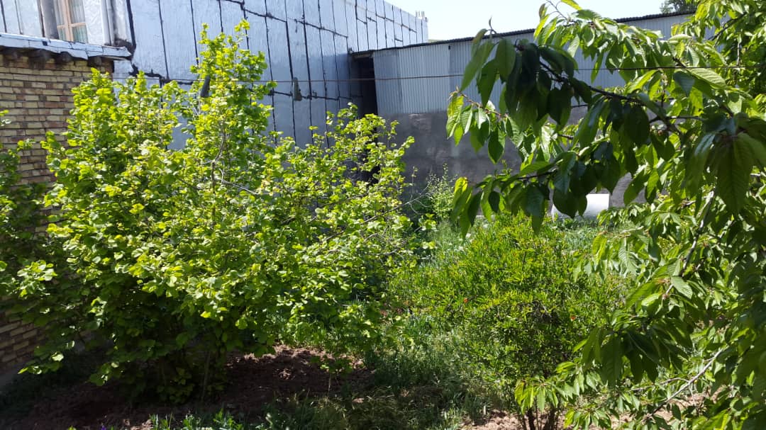 تصویر ویلایی احمدی